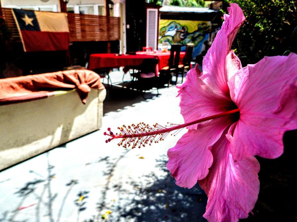 Hostel La Casa Piola Valparaíso Exterior foto